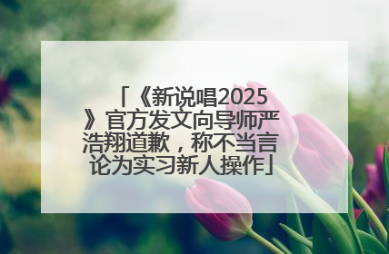 《新说唱2025》官方发文向导师严浩翔道歉，称不当言论为实习新人操作