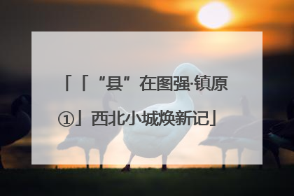 「“县”在图强·镇原①」西北小城焕新记