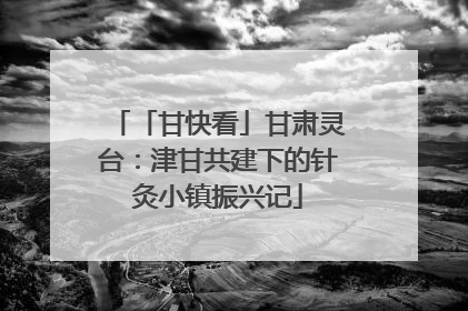 「甘快看」甘肃灵台：津甘共建下的针灸小镇振兴记