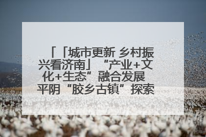 「城市更新 乡村振兴看济南」“产业+文化+生态”融合发展 平阴“胶乡古镇”探索振兴路径成效显著