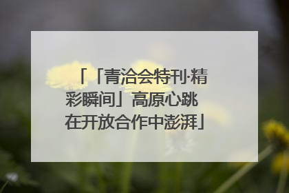 「青洽会特刊·精彩瞬间」高原心跳 在开放合作中澎湃