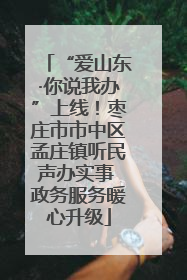 “爱山东·你说我办”上线！枣庄市市中区孟庄镇听民声办实事 政务服务暖心升级