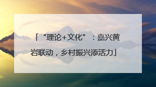 “理论+文化”：嘉兴黄岩联动，乡村振兴添活力