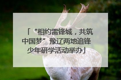 “相约雷锋城，共筑中国梦”豫辽两地追锋少年研学活动举办