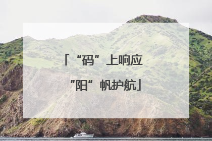 “码”上响应 “阳”帆护航