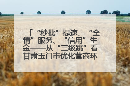 “秒批”提速、“全情”服务、“信用”生金——从“三级跳”看甘肃玉门市优化营商环境的进阶之路