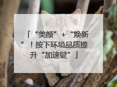 “美颜”+“焕新”！按下环境品质提升“加速键”