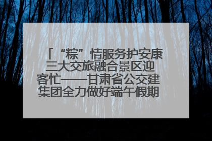 “粽”情服务护安康 三大交旅融合景区迎客忙——甘肃省公交建集团全力做好端午假期景区运营工作