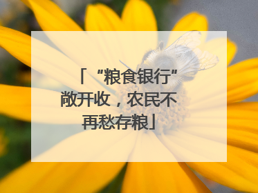 “粮食银行”敞开收，农民不再愁存粮