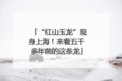 “红山玉龙”现身上海！来看五千多年前的这条龙