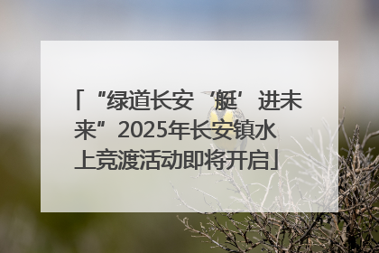“绿道长安‘艇’进未来”2025年长安镇水上竞渡活动即将开启