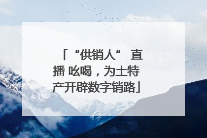 “供销人” 直播 吆喝，为土特产开辟数字销路