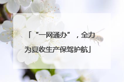“一网通办”，全力为夏收生产保驾护航