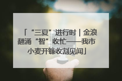 “三夏”进行时｜金浪翻涌“智”收忙——我市小麦开镰收割见闻