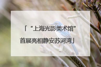 “上海光影美术馆”首展亮相静安苏河湾