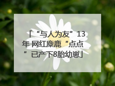 “与人为友”13年 网红麋鹿“点点”已产下8胎幼崽