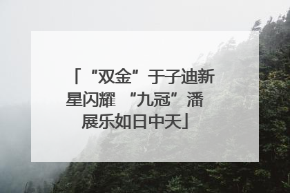 “双金”于子迪新星闪耀 “九冠”潘展乐如日中天