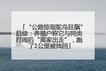 “公路惊现鸵鸟狂飙”后续：养殖户称它与同类打闹后“离家出走”，跑了1公里被找回