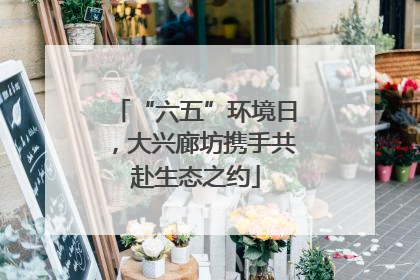 “六五”环境日，大兴廊坊携手共赴生态之约
