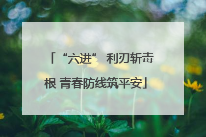 “六进” 利刃斩毒根 青春防线筑平安