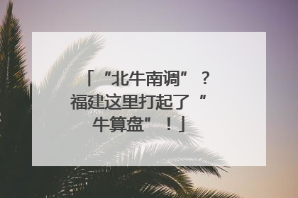 “北牛南调”？福建这里打起了“牛算盘”！