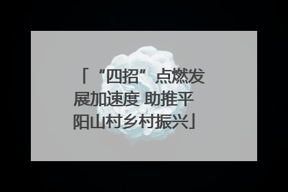 “四招”点燃发展加速度 助推平阳山村乡村振兴