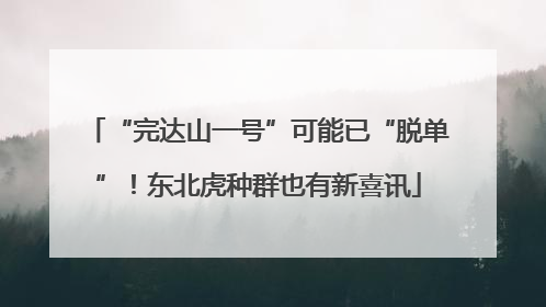 “完达山一号”可能已“脱单”！东北虎种群也有新喜讯