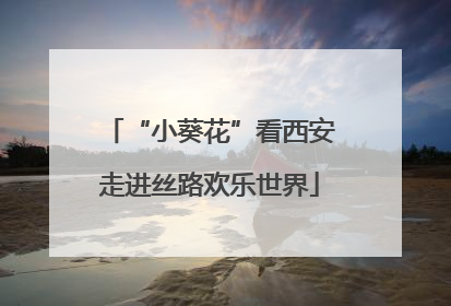 “小葵花”看西安走进丝路欢乐世界