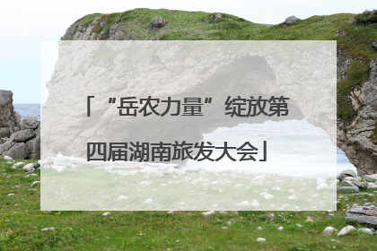 “岳农力量”绽放第四届湖南旅发大会