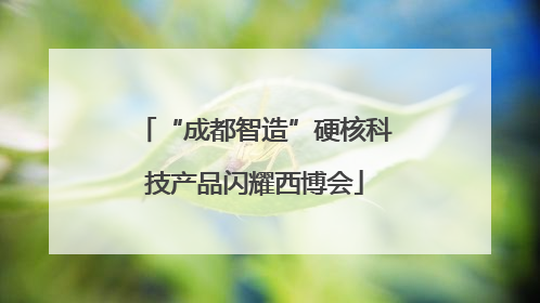 “成都智造”硬核科技产品闪耀西博会