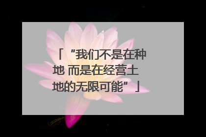 “我们不是在种地 而是在经营土地的无限可能”