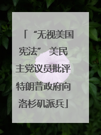 “无视美国宪法” 美民主党议员批评特朗普政府向洛杉矶派兵
