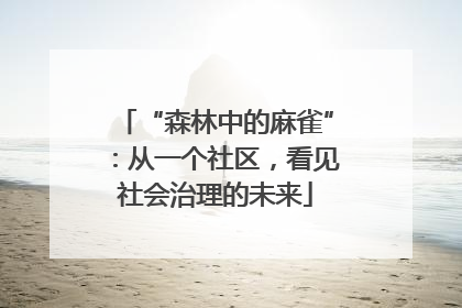 “森林中的麻雀”：从一个社区，看见社会治理的未来