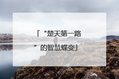 “楚天第一路”的智慧蝶变