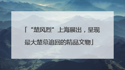 “楚风烈”上海展出，呈现最大楚墓追回的精品文物