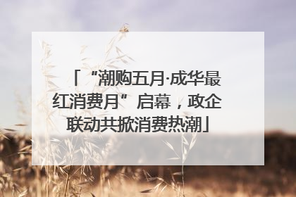“潮购五月·成华最红消费月”启幕，政企联动共掀消费热潮