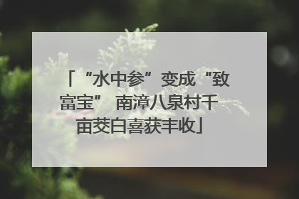“水中参”变成“致富宝” 南漳八泉村千亩茭白喜获丰收