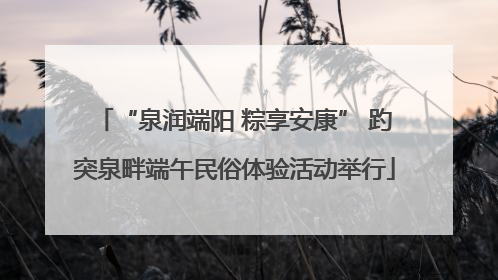 “泉润端阳 粽享安康” 趵突泉畔端午民俗体验活动举行