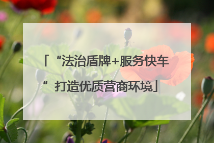 “法治盾牌+服务快车”打造优质营商环境