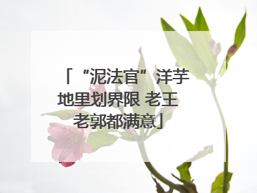 “泥法官”洋芋地里划界限 老王老郭都满意