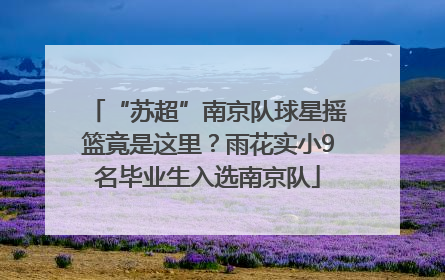 “苏超”南京队球星摇篮竟是这里？雨花实小9名毕业生入选南京队