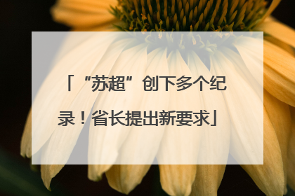 “苏超”创下多个纪录！省长提出新要求