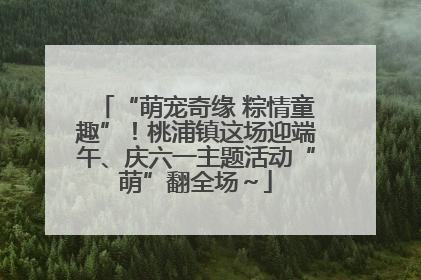 “萌宠奇缘 粽情童趣”！桃浦镇这场迎端午、庆六一主题活动“萌”翻全场～
