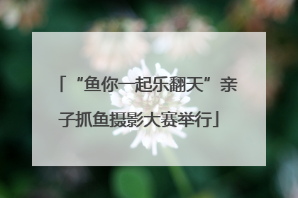 “鱼你一起乐翻天”亲子抓鱼摄影大赛举行