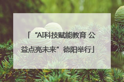 “AI科技赋能教育 公益点亮未来”德阳举行