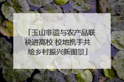 玉山非遗与农产品联袂进高校 校地携手共绘乡村振兴新图景