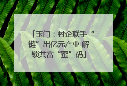 玉门：村企联手“链”出亿元产业 解锁共富“蜜”码