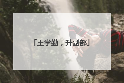 王学勤，升副部