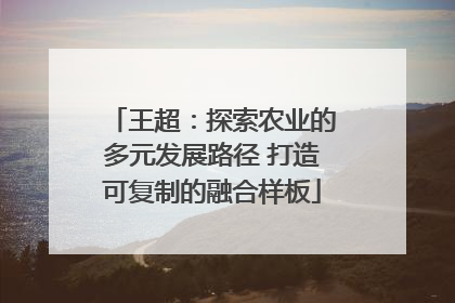 王超：探索农业的多元发展路径 打造可复制的融合样板