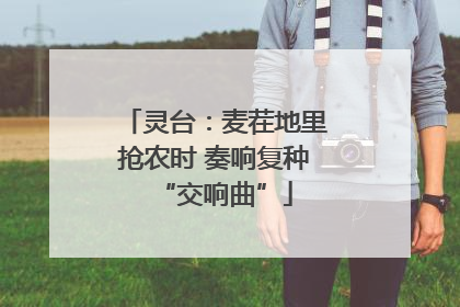 灵台：麦茬地里抢农时 奏响复种“交响曲”